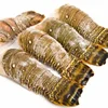 Lobsters Tails/Frozen cooked crawfish lobster tails