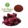 Pure Hibiscus Powder / Bulk Order / Top Indian Quality / Manufacturer - Factory Supply