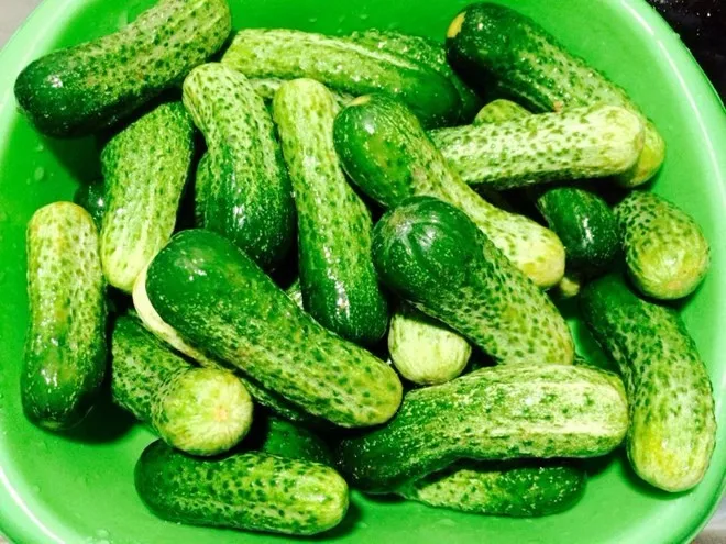 огурец маленького размера. корнишоны пикули. как называются маленькие огурчики. коктейльные огурцы. как называются маленькие огурчики.