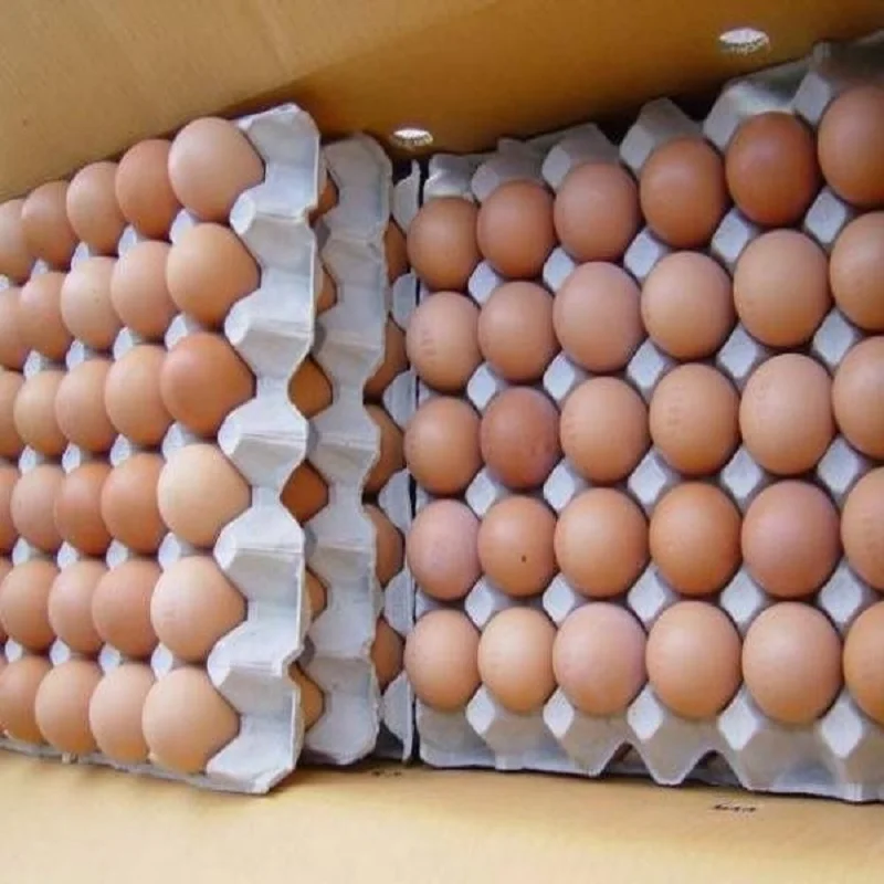 Farm Fresh Chicken Table Eggs Buy Decorative Chicken Eggs,Hatching