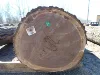 American walnut logs for veneer/table top