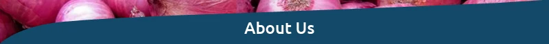 Onion-About-Us.jpg