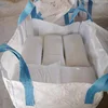white sea shell / sea coast sea shell decor