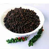 Vietnam organic BLACK PEPPER wholesale cheap price PEPPER