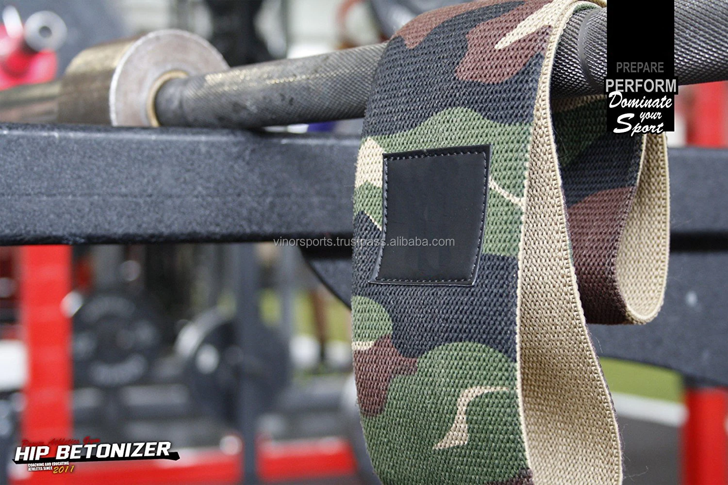 Hip circle 52074-e.jpg