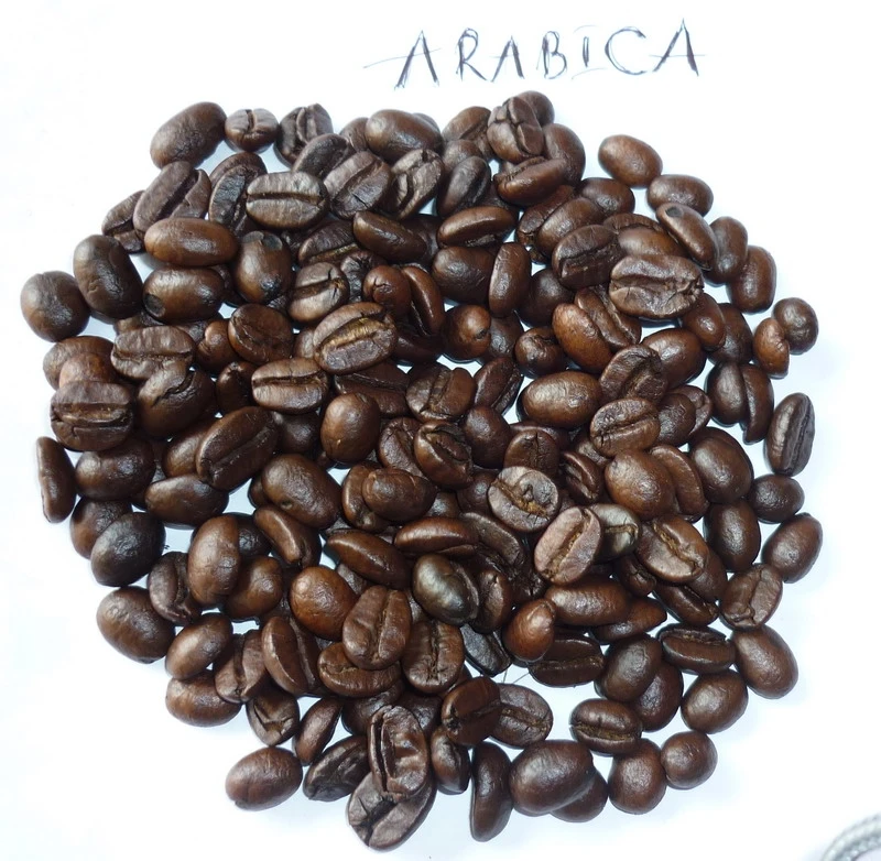 Arabica.JPG