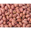 Extremely High Quality Roasted Peanuts With Super Packing