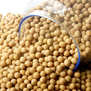 bulk soybeans price