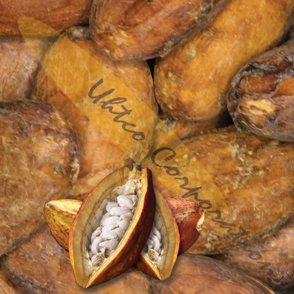 
Cacao XP Criollo Cacao Beans Organic 