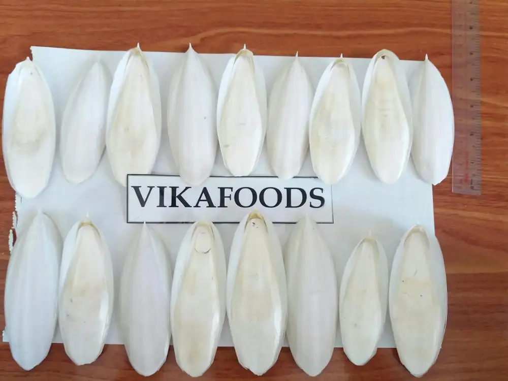 Dried Cuttlefish Bone High Quality Best Price Buy Dried Cuttlefish