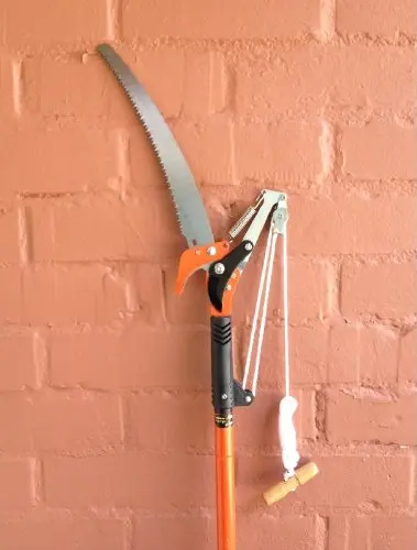 telescoping pruning saw