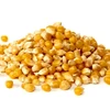 Yellow Corn Exporters In India