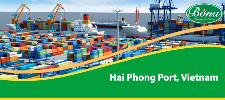 HaiPhong port.jpg