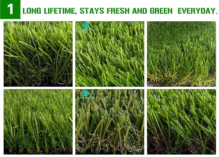 paste-pic-dp_uuid_a0eta