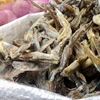 Dried Stock Fish,Cod,Haithe,Haddock, Dried Stock Fish Heads