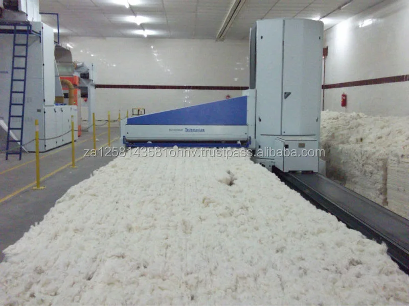 cotton 10.jpg