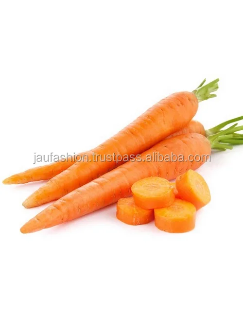 Fresh Carrot Price / Indian Fresh Carrot / Carrot Suppliers In India