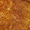 Gold plate Cpu Pins Scrap For Sale