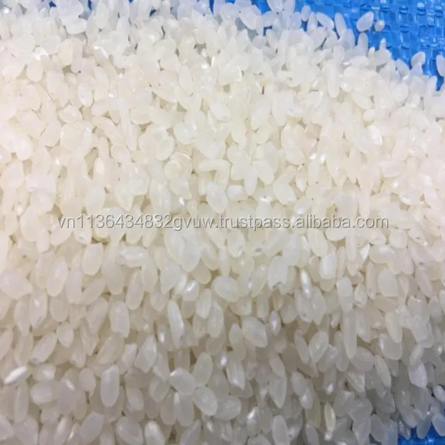 JAPONICA 2% BROKEN 12.jpg