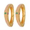 High Micron Plated 2 pc Bangle - 13704