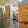 Chicken farm Auto egg collection system/egg collection machine