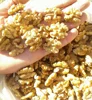 Natural Dried Walnut Shell Kernels Butterfly Halves