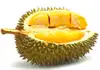 Durian