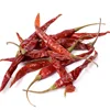 Hot Red Chilli With out Stem