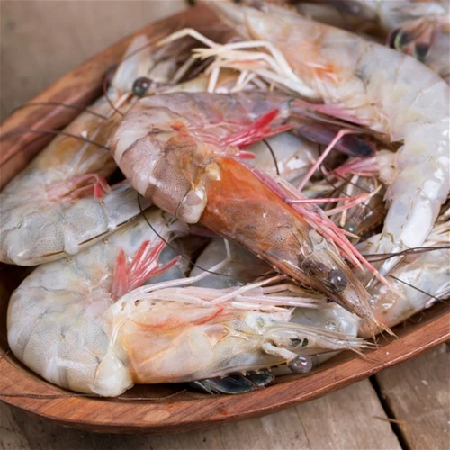 Viet Nam For The High Quality Seafood Freeze Dried Shrimp Frozen Shrimps Buy Shrimp Peeled Frozen For Sale Frozen Peeled Undeveined Shrimp Freeze Dried Shrimp Product On Alibaba Com