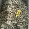 /product-detail/sale-dried-fish-headless-50018616961.html