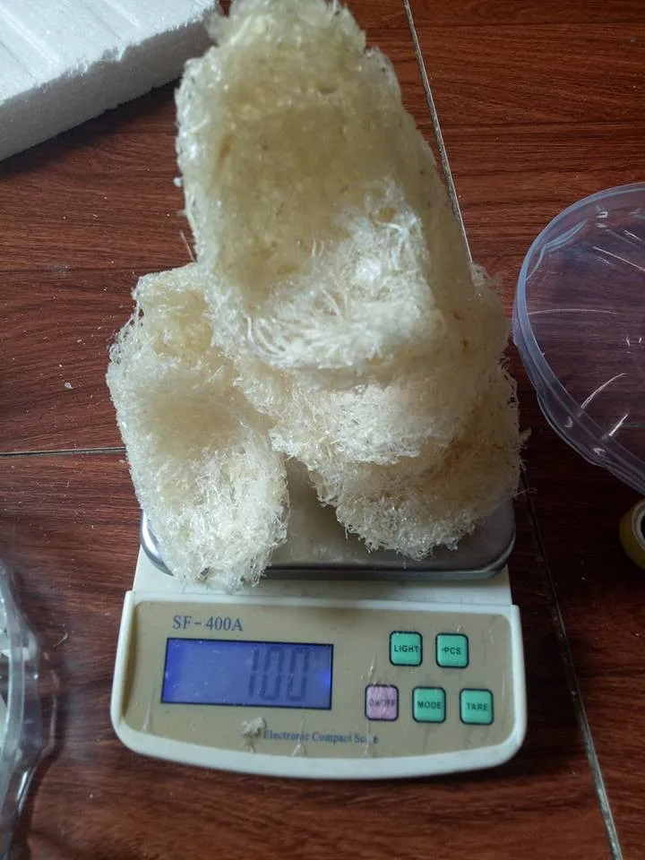 Vietnam Raw/ Refined Bird Nest 100 Pure,Broken Nest Good For Health