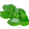 /product-detail/dried-kaffir-lime-leaves-powder-100-natural-product-of-thailand-50041711458.html