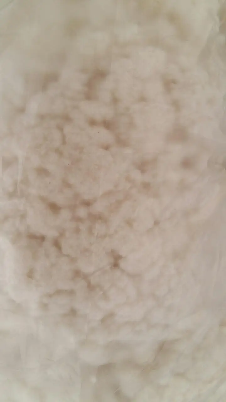 20180413_145618.jpeg