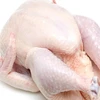 FROZEN QUAIL MEAT