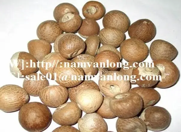 betel nut
