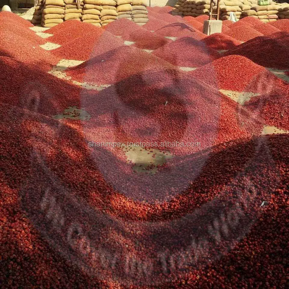 Red chili lot Shan Impex.jpg