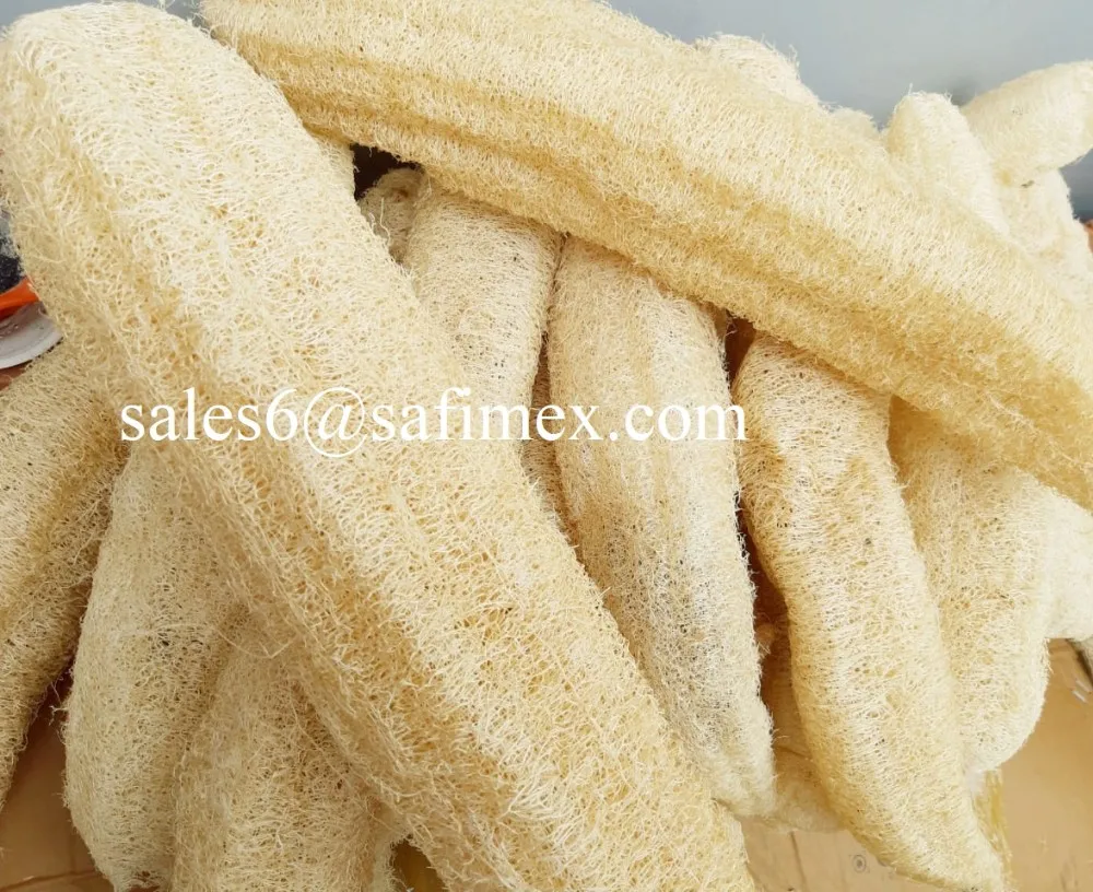 Dried Luffa Natural Luffa Luffa Sponge 2020 Buy Loofah Material