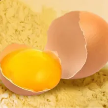 egg10ddddd.jpg