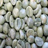 Top Grade 1 screen size 18 Green Robuster Coffee Beans Offer