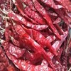 Teja red Chilli With Stem For Sale