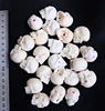 Affordable Ox Bone Skull Carved Pendant Beads 100% Cow Bone in Handmade Jewelry Making
