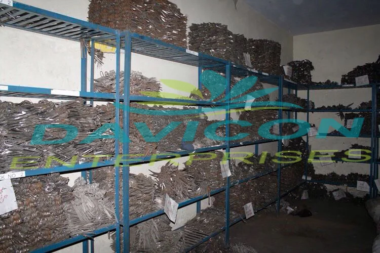 factory pics.. - Copy.jpg