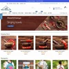 Website Design & Web Development Company Provides Result-Driven Strategies to Expand your Business