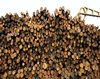 Top quality Eucalyptus Wood Logs/Freshly Cut for sale