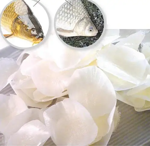 dried fish scales - vietnamese fish scales for extracting
