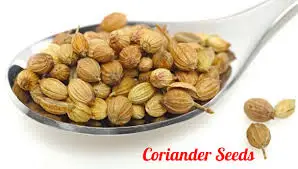Paramount Quality Coriander Seeds
