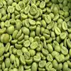 Robusta Coffee Beans - Best Quality and Price - FREE SAMPLES