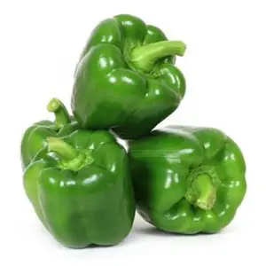 green green pepper capsicum