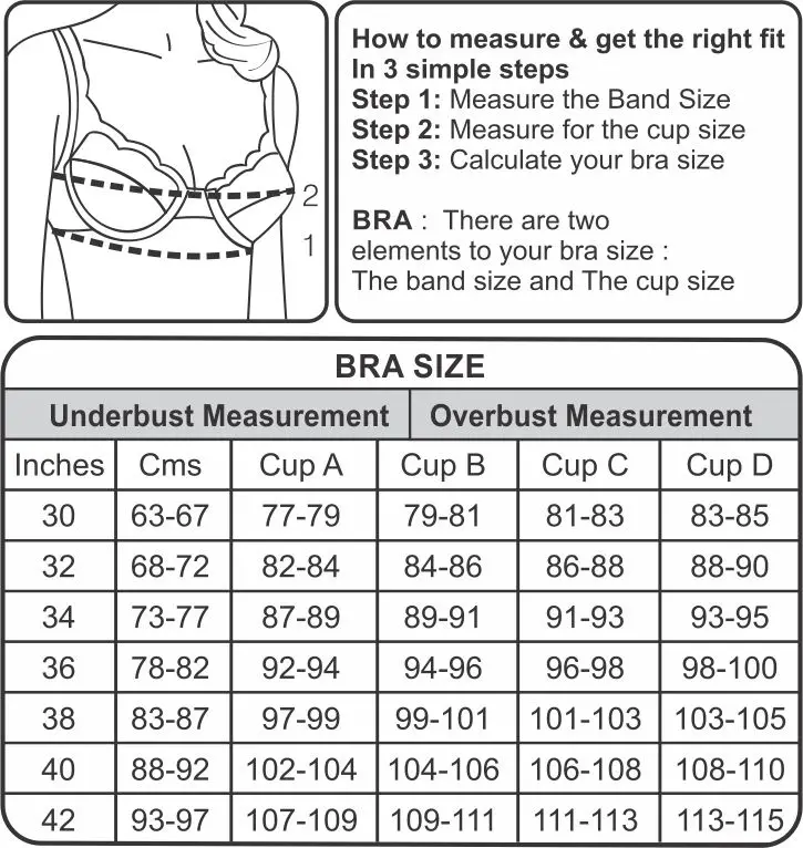 Bra And Cup Size Chart