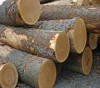 Wholesale High Quality Ukraine Oak Wood Logs